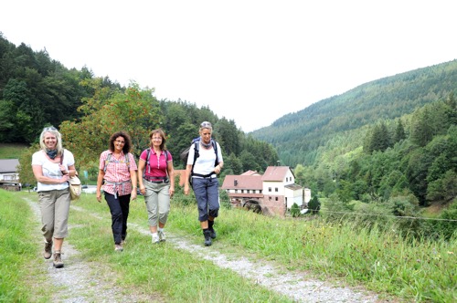 Odenwald Wandern im Hoellgrund2