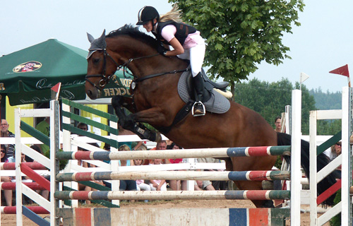 500Reitturnier RCHO Bild 2 3