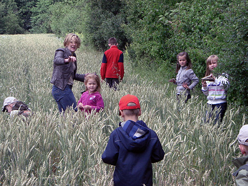 500 Kindergartenkinder suchen Kraeuter