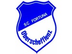 Logoscoberschefflenz