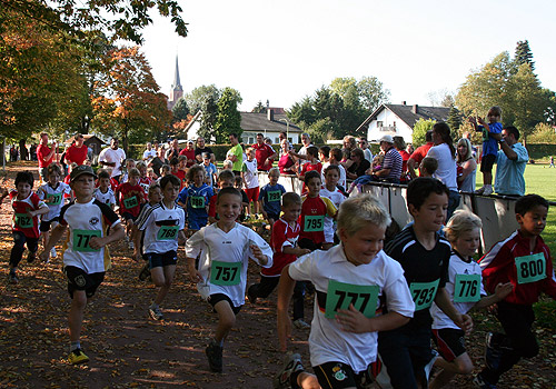 500-Herbstlauf.jpg 500 Herbstlauf