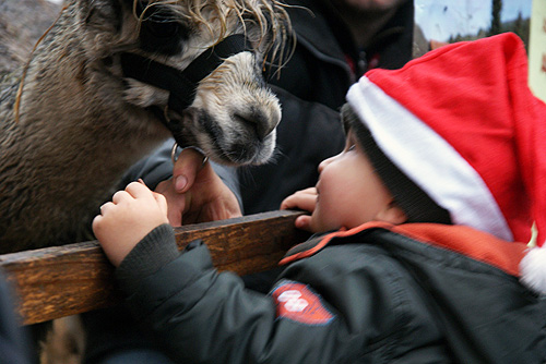500-Weihnachtsmarkt_Johannes-Diakonie_3_8917.jpg 500 Weihnachtsmarkt Johannes Diakonie 3 8917
