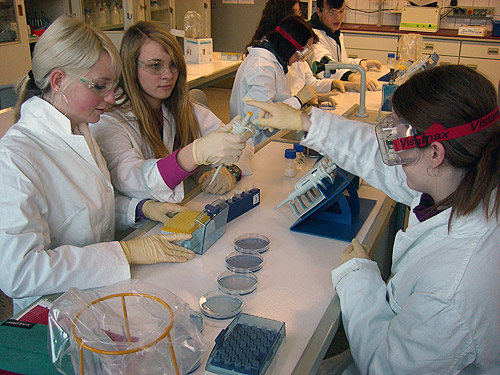 Berufsbildende Schulen in Kreis