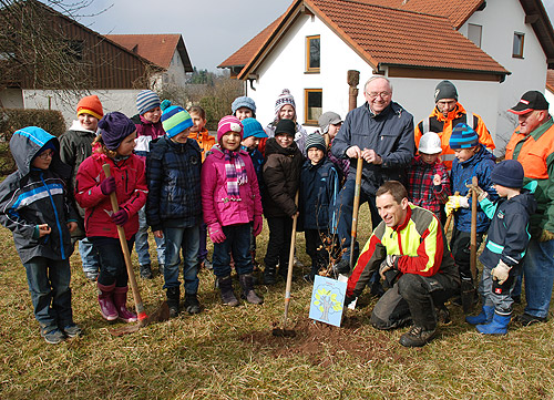 Schueler pflanzen Baeume