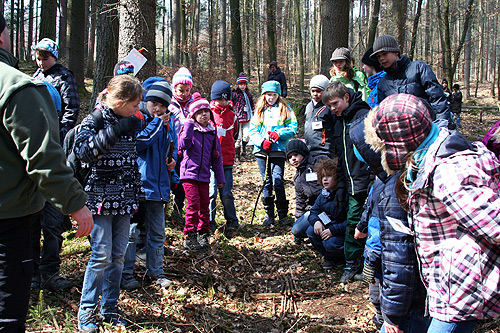 DHBW entdeckt den Wald