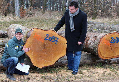 Holz Elztal
