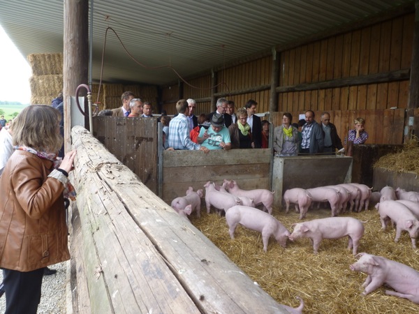 bergfeld7.jpg Bergfeld7