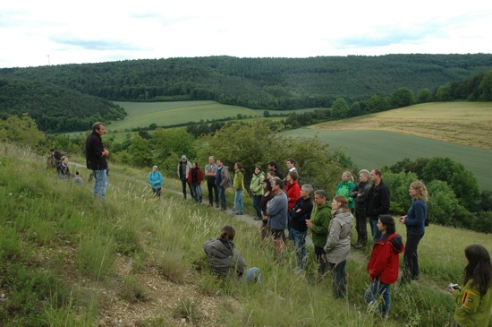 Helmental.jpg Helmental