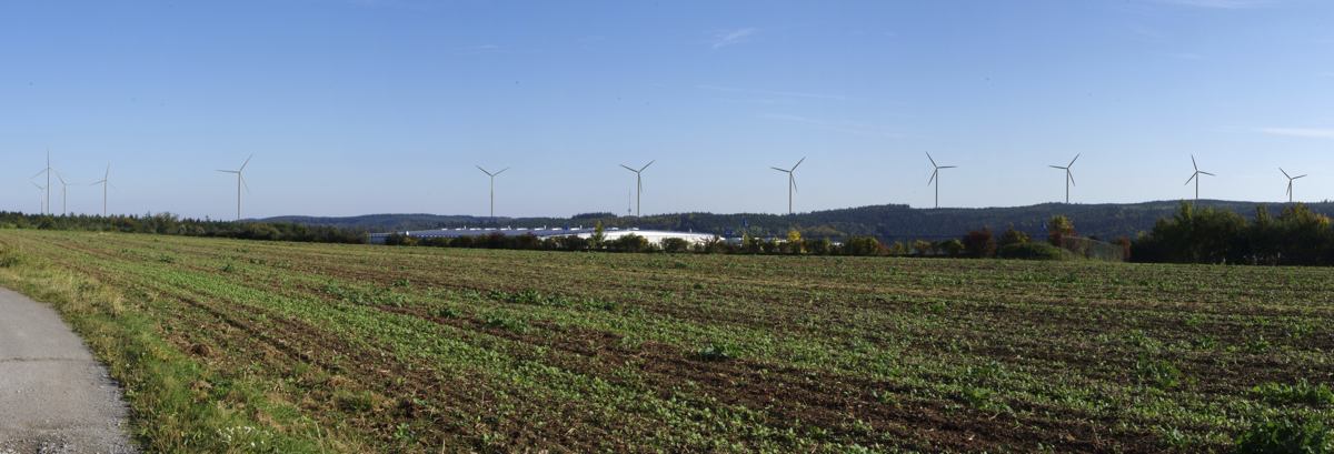 NZ Windpark Markgrafenwald