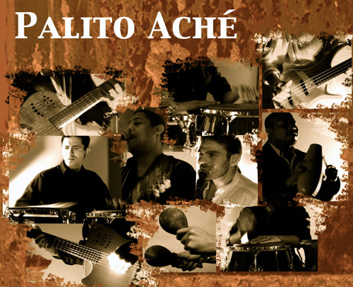 NZ Palito Ache