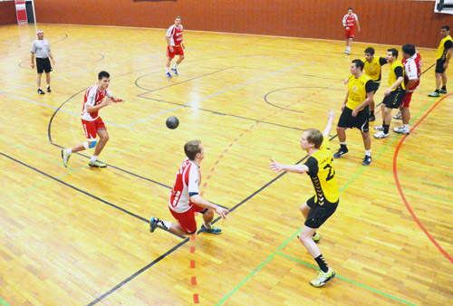 NZ tvm haneckarelz