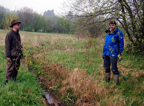 467 NABU pflanzt Weiden