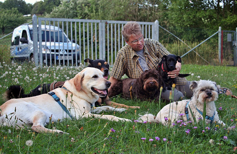 C Doris Hundefotos 158