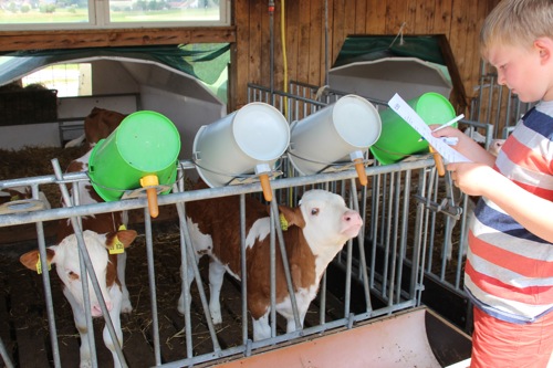 Glaeserne Produktion 015.jpg Glaeserne Produktion 015