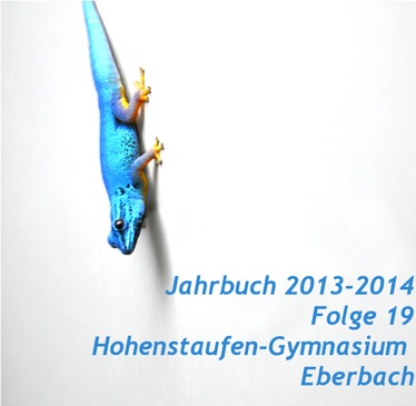 VorderseiteJahrbuchgeckoperf