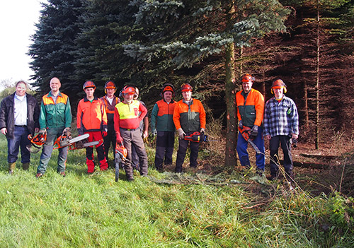 NZ Christbaum Plantage wird Feuchtbiotop
