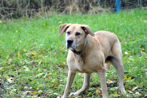 Buddy 6 20141012 1706670490
