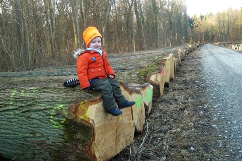 Submissionsbraut 2015