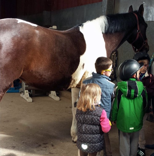 NZ Kinder mit dem Schulpferd Lambada