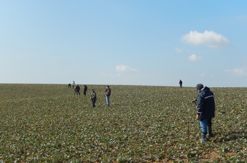 Wertermittlung Ober Unterwittstadt jpg