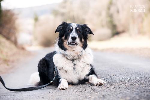 Cell 4 20150210 1839442735