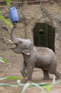 20150204_HK_0115.jpg 20150204 HK 0115