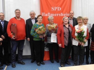 SPD Haßmersheim ehrt treue Genossen » NOKZEIT