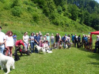 Segnungsgottesdienst für Hunde in Guttenbach » NOKZEIT