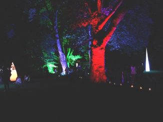 Lichterfest eröffnet den Mosbacher Sommer » NOKZEIT