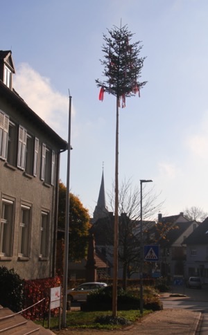 Bürgermeister-Baum für Rippberger » NOKZEIT