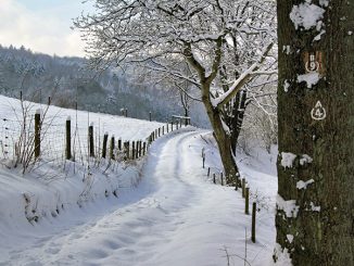 Winterlandschaften auf stillen Pfaden » NOKZEIT