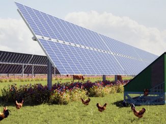 „Agri-Photovoltaik“ macht Landwirtschaft funktionaler » NOKZEIT