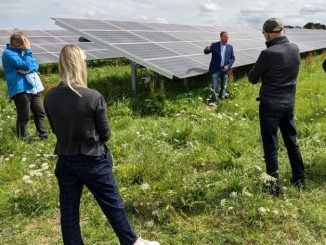 Freiflächen-PV-Anlage in Niederstetten vorgestellt » NOKZEIT