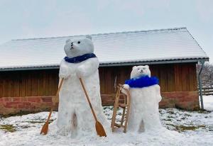 SchneeBären aus Mülben-beim-Wintersport