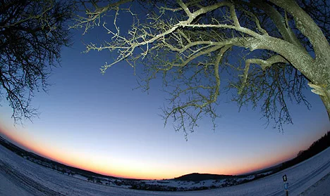 Wintersport am Katzenbuckel