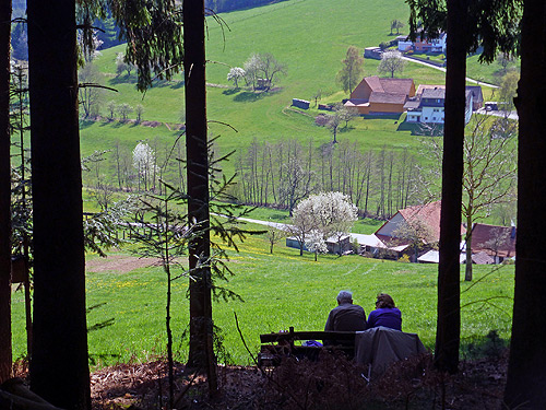 500-Blick-auf-Airlenbach.jpg 500 Blick auf Airlenbach
