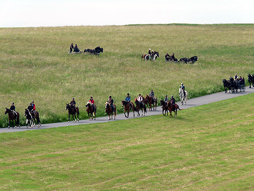 500-Natur-und-Reiter-im-Einklang.jpg 500 Natur und Reiter im Einklang