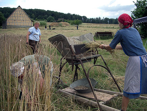 Gruenkernwochen-2012.jpg Gruenkernwochen 2012