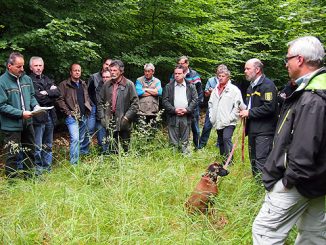 500 waldbegehung