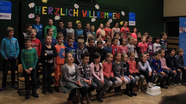 MiniPhaen0215 003.jpg MiniPhaen0215 003