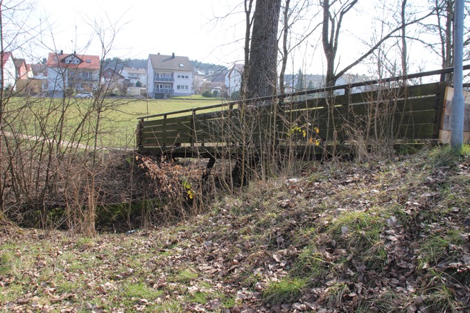 Fußbruecke0311 001