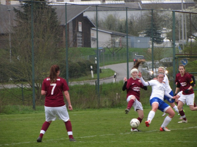 IMG_7254.JPG IMG 7254