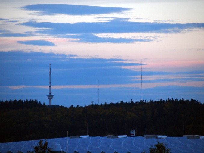 Masten im Markgrafenwald