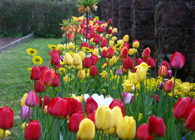 Farbenpracht! von Norbert Scheurig – NOKZEIT