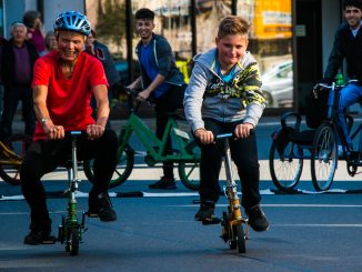 Adelsheimer herbst 2016