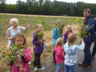 Fps0813 002kräuter 2