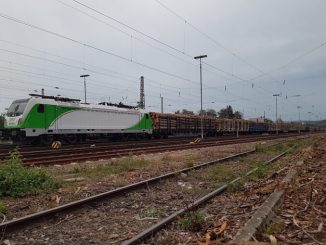 Img 2590 3