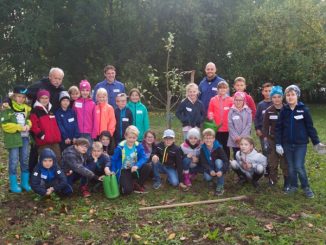 Refresco grünsfeld schulaktion apfelbaum 3