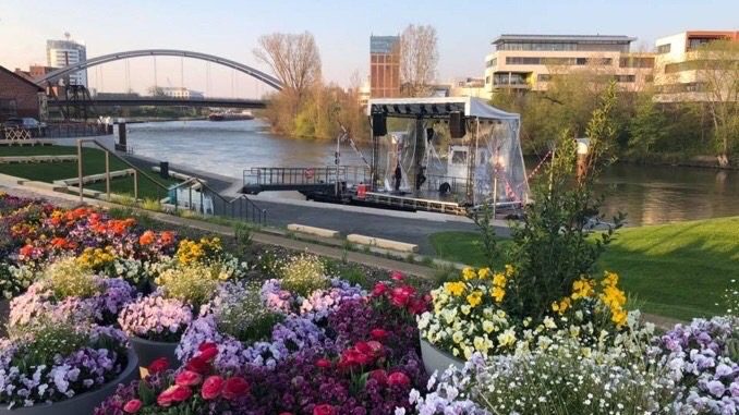 Faehre buga blumen