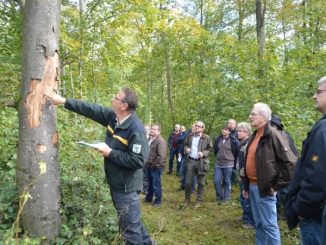 Waldbegehung 2019 1